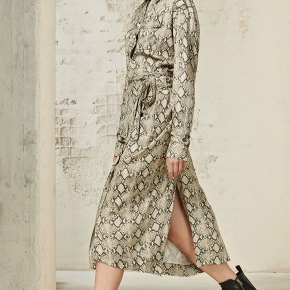 ZARA SRPLS Snake Print Dress - Picture 4 of 4